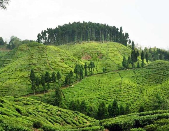 Kurseong