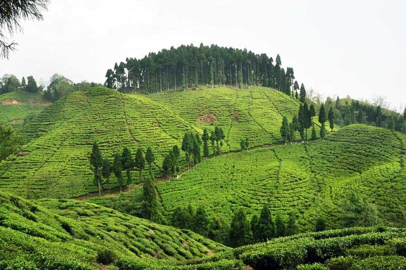 Sikkim