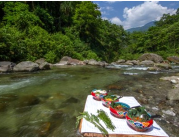 Riverside Picnic Kabi