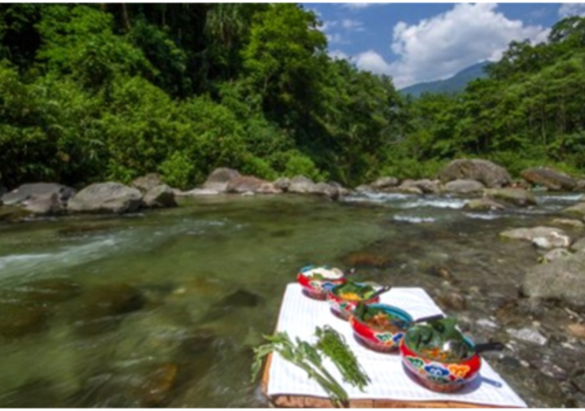 Riverside Picnic Kabi