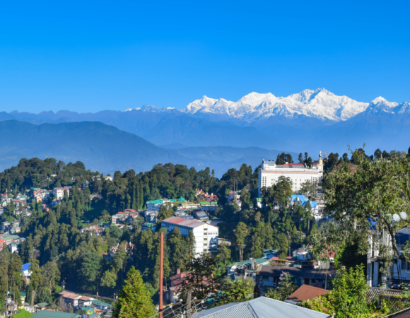 Darjeeling Travel Guide: Top Attractions & Activities (Updated for 2025)