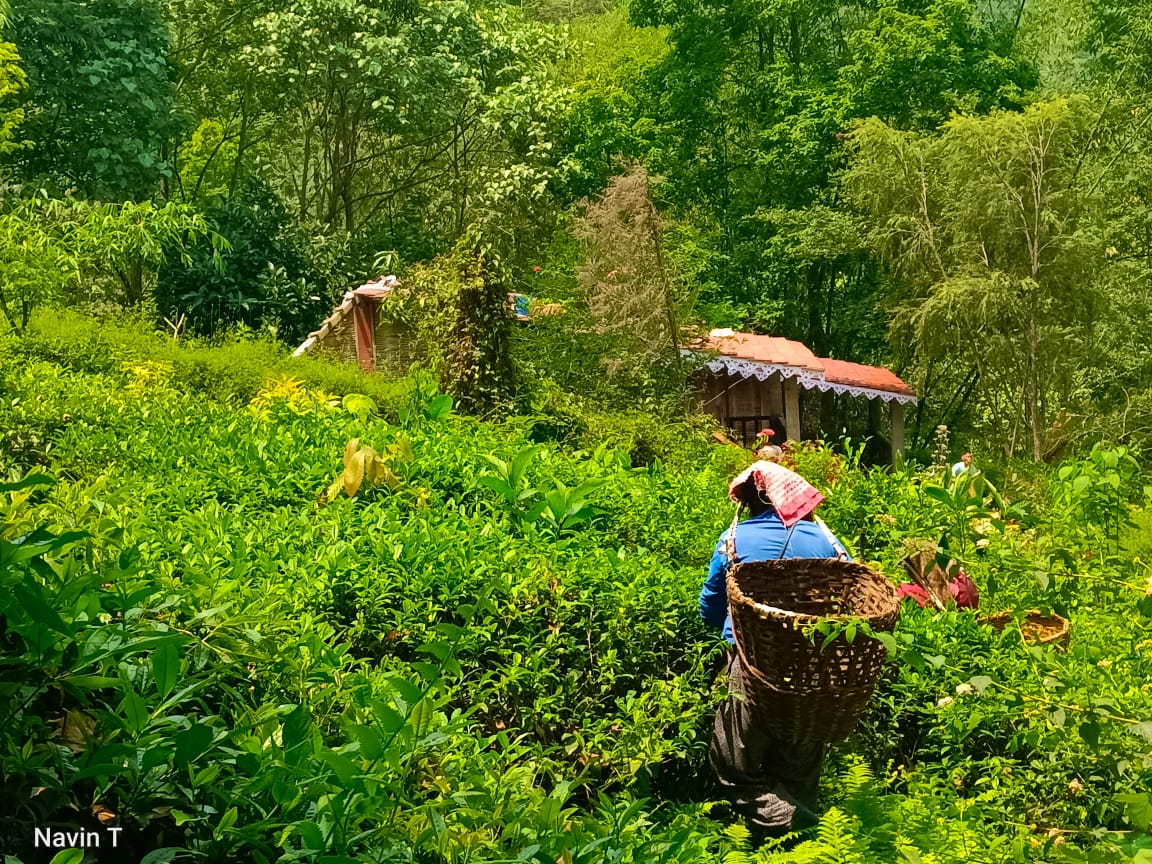 Tathagata Farm