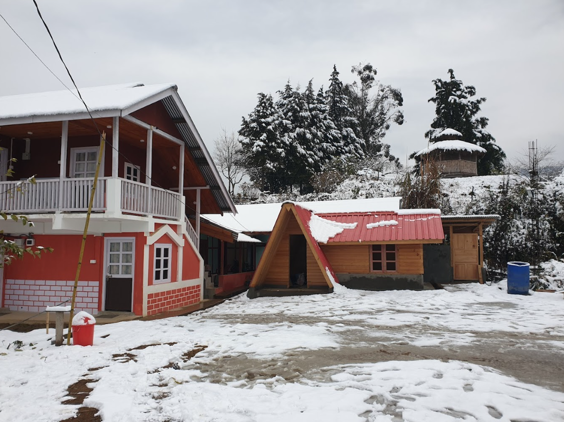 Hotel Pine Valley