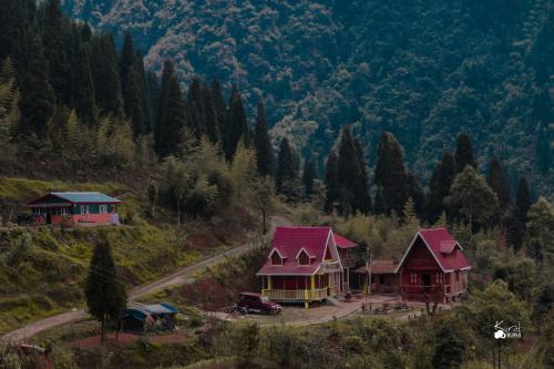 Homestays Darjeeling Best Homestays in Darjeeling Hotel or Homestay in Darjeeling Which is better homestay or Hotel?