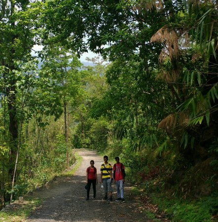 Majitar Trek, Majitar Hike